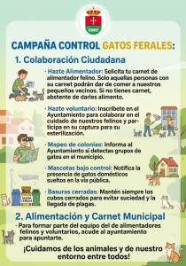 INFORMACIÓN CAMPAÑA CONTROL GATOS FERALES